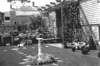 Greater Light Garden with Greyhound.